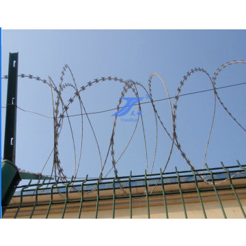 Galvanized Razor Barbed Wire (TS-L25)